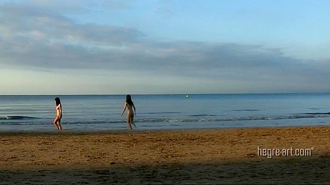 Hot Japanese Babe Gets Soaked & Fucked on Steamy Beach