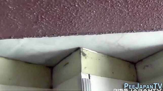 Japanese JAV Star Gets Watched While Peeing Publicly
