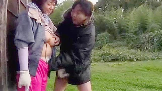 Hot Japanese Sluts with Bushes Fuck Hard in Steamy JAV Clips