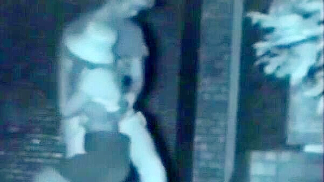 Outdoor Japanese Sex ~ Hot JAV Star Dominates Her Lover Hard