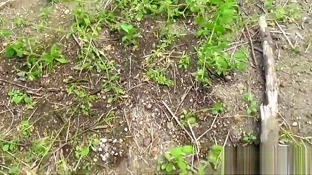 Japanese JAV Maid's Outdoors Peeing Orgasmic Fantasy