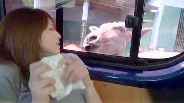 Sultry JAV MILF Akiho Yoshizawa Gets Dirty in Car Ride Orgasm