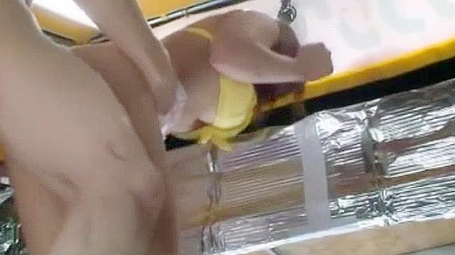 Huge-Busted Japanese Beauties Rock Hard in Steamy JAV Scene