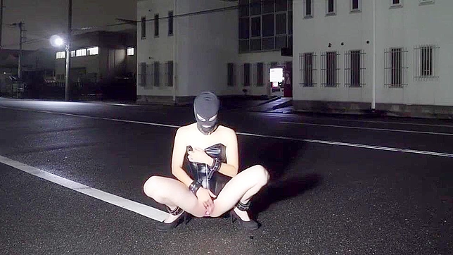 Hot Japanese Amateur Explicit & Steamy Sex Scenes