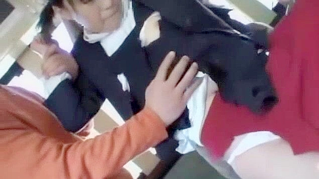 Horny Japanese Chick Gets Fucked Hard In Public Place