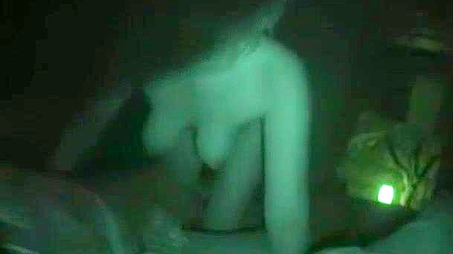 Sizzling Japanese Babe Teases With Her Seductive Big Tits