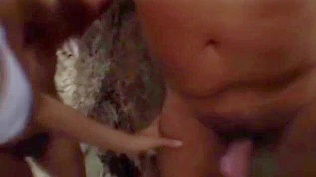 Shiho Kano & Friends Enjoy Steamy JAV Beach Sex Fantasies