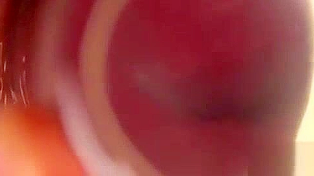 Mao Mizusawa's Hot Japanese Blowjob Before Wild Doggy Style Action