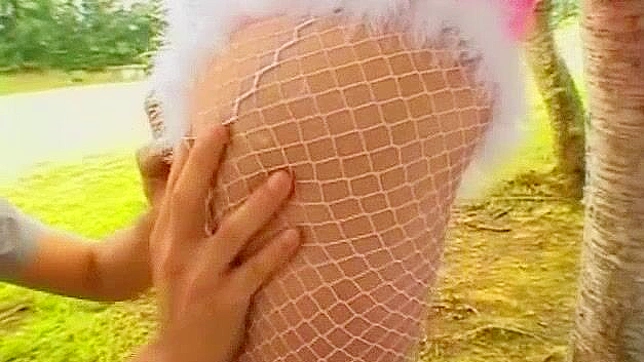 Hottest JAV Stars Fuck Outdoors in Scintillating Doggy Style Action