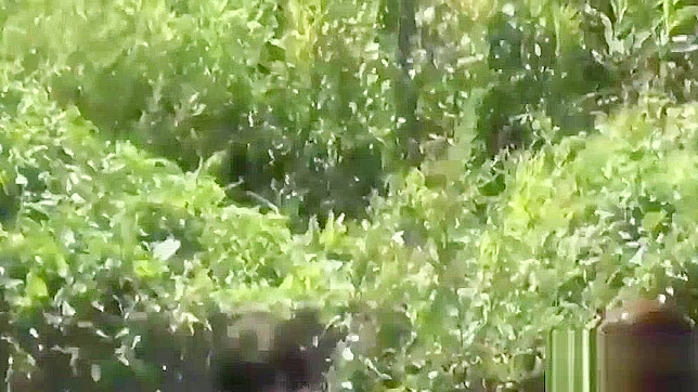 Wet Jav Beauties Splash into Hot Water Orgasms Delightfully
