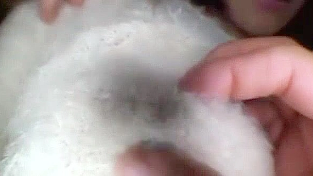 Exotic Jav Star Yui Uehara Dazzles With Her Skilled Cunnilingus Showdown