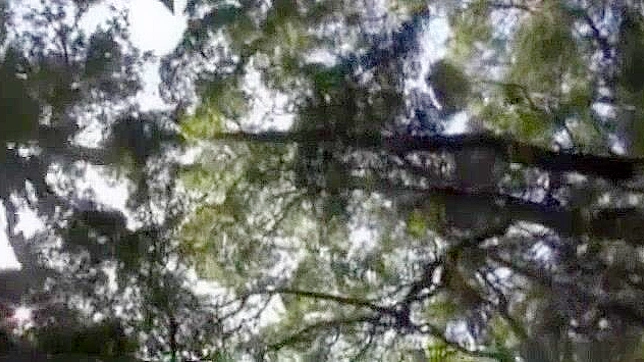 Hitomi Yuki Gives Jaw-Dropping Blowjob & Seductive Fingering Showdown