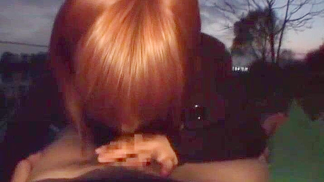 Outdoor JAV Star Akane Takes It Hard in Public Place