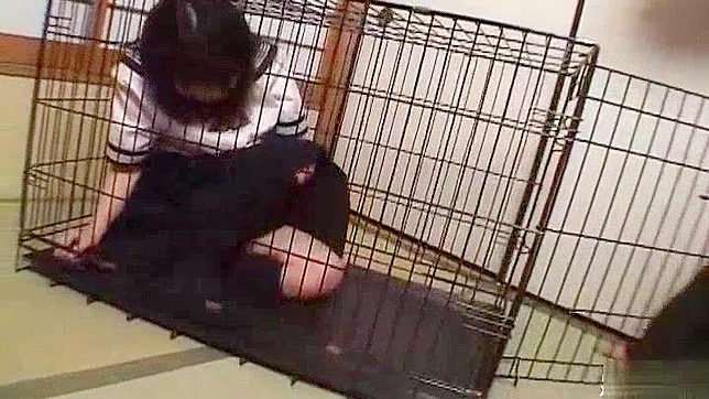 Outdoor Japanese Slut Gets Dirty With Hot cumshot Action