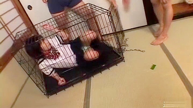 Outdoor Japanese Slut Gets Dirty With Hot cumshot Action