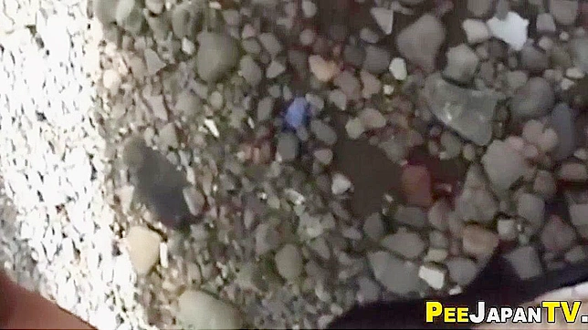 Hairy Japanese Chick Pees During Hot Sex Scene