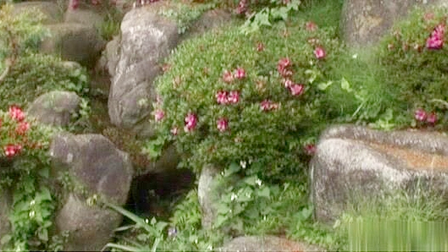 Seductive Japanese Model Gets Juicy Creampie Finish In Explicit JAV