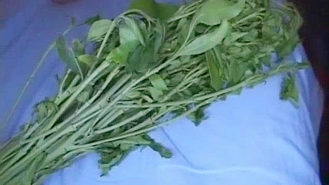 Yui Takashiro Pleasures Herself with Toys & Dildos Fantastically