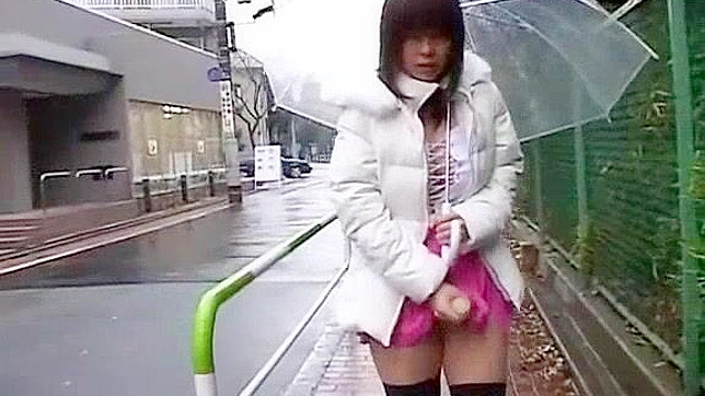 Shion Natsume Outdoors Gets Fucked by Dildo & Toy Blissfully