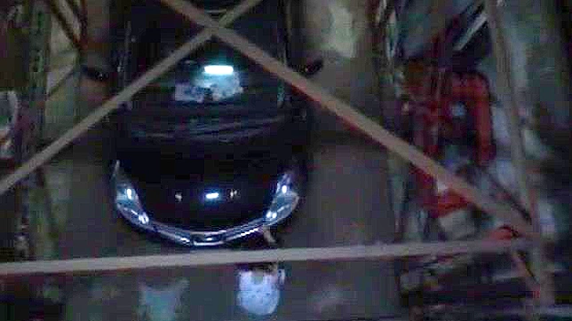 Seductive Japanese Beauty Enjoying Passionate Oral Sex Play