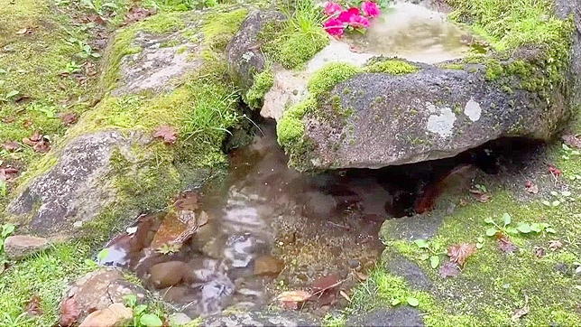 Seductive JAV Scene Features Intimate Leaf-Kiss in Hot Springs