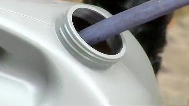 Outdoor Japanese Beauty Bound & Stimulated by Toys - Hot JAV Scene