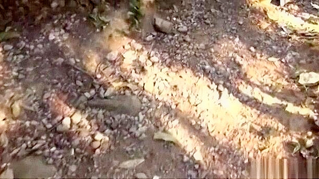 Yuuka Aoba Gets Rammed Superbly Outdoors JAV Style