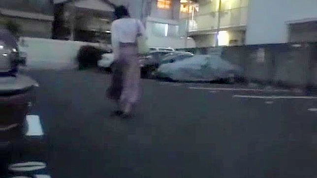 Outdoor JAV - Freaky Japanese Slut's Insane Sex Adventures