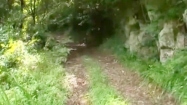 Mayuka Akimoto's Passionate Sex with Toys and Vibrators