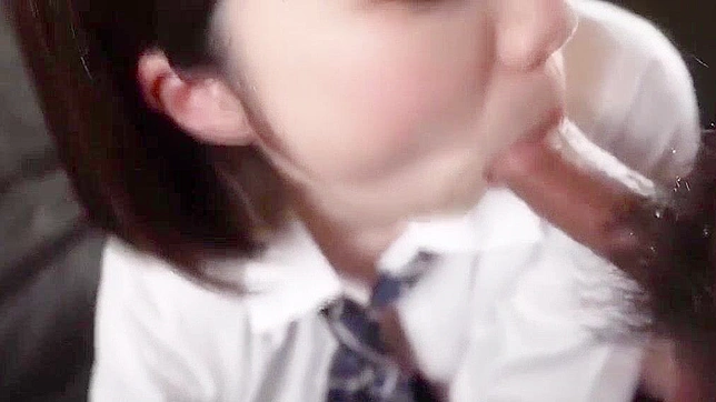 Hairy Japanese Angel Tempts With Steamy Sex at Sunset Hours