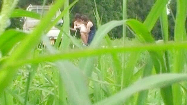 Seductive Japanese Outdoors in Kinkydoggy Style Sex