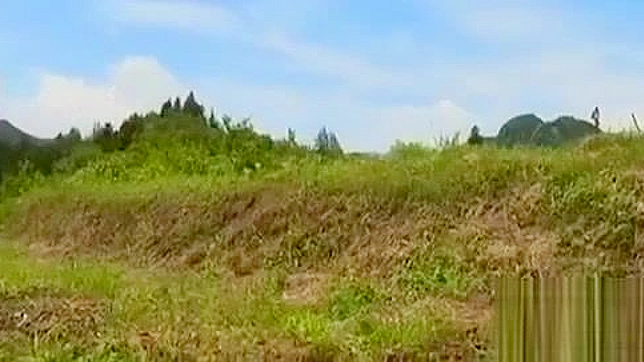 Magnificent JAV Beauty Rides Big Cock Until Climax Bliss