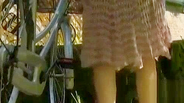 Excited JAV Duo Hooks Up Outdoors for Hot Passionate Fuck