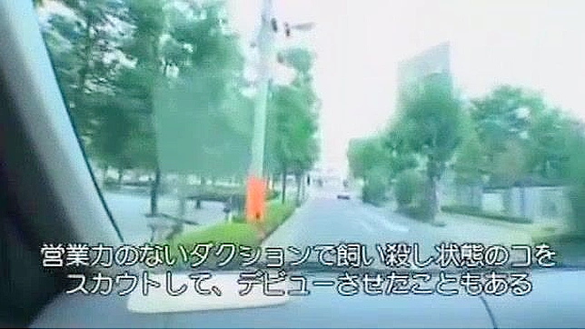 Miina Yoshihara's Sexy Japanese Orgasms & Fishnet Fuck Fest