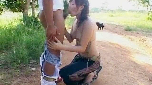 Rino Kamiya Takes Cock Outdoors in Hot Japanese Sex Showdown