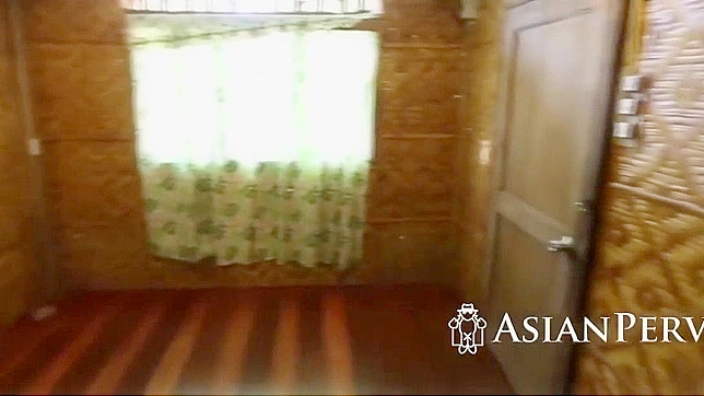 Hairy Asian Cutie Gets Her Wet Pussy Fucked Hardly