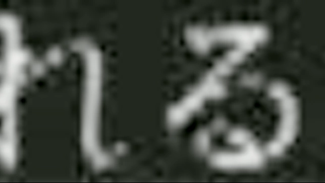 Outdoor Orgasms With Japanese Beauties Akane & Friends