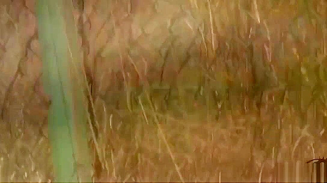 Japanese Babe Splashes Water During Hot Fuck Scene
