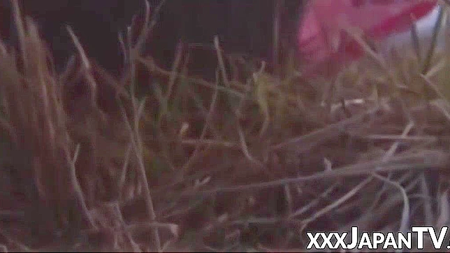 Hairy Japanese Porn Star Takes Big Cock Balls Deep Action