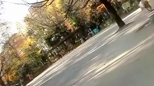 Hot JAV Star Ouka Fujimiya Seduces in Steamy Sex Acts