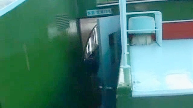 Mashiro JAV Star Gives Insane Blowjob & Screaming Orgasm Sex