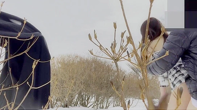 JAV Couples Hot On-Camera Sex - Must-Watch Scenes Live Now