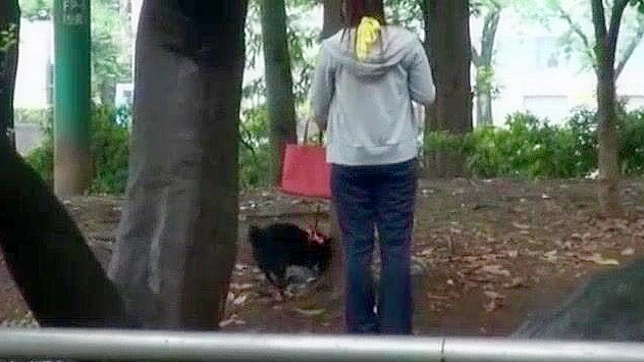 Sizzling Japanese Trios Outdoors with Passionate Sex Acts