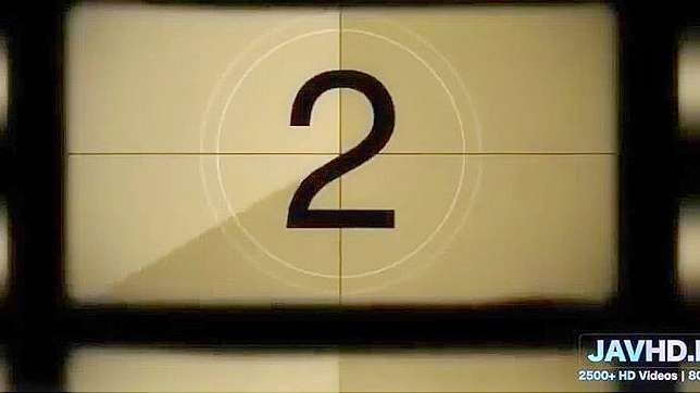 Intimate Japanese Softcore Pleasure - Asian Pussy Exploration