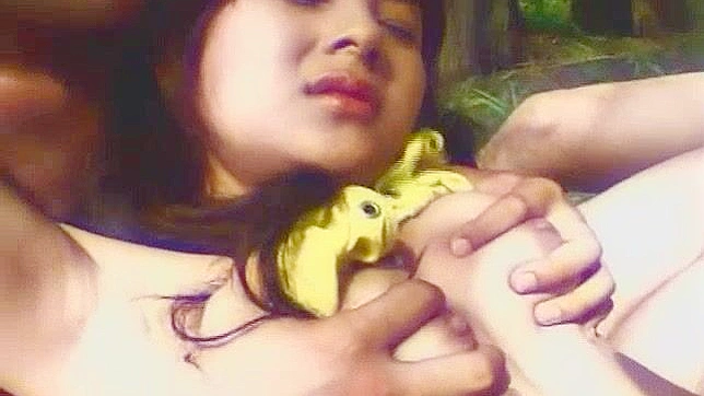 Outdoor JAV Star Kaede Fuji Gives Handjob & Gets Bang Hard