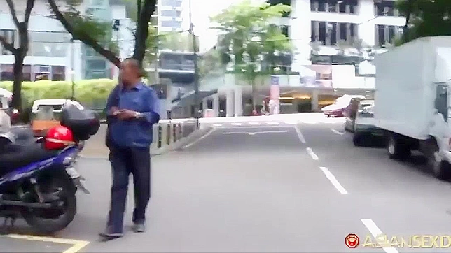 Uncensored HD Japanese Erotic Movie - Pure Passion Awaits!