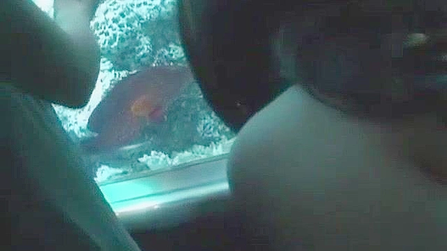 Exotic Japanese Beauty in a Hot & Steamy JAV Adventure
