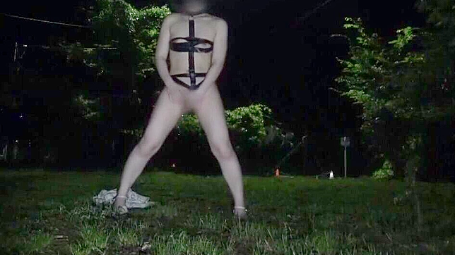 Japanese JAV Star Rocks Solo Fantasy Show with Insane Orgasmic Pleasure