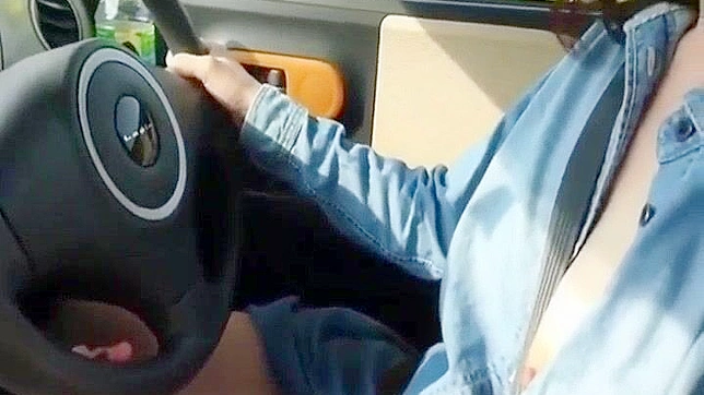 Japanese Amateur Gets Sexy Surprise On Busy Highway