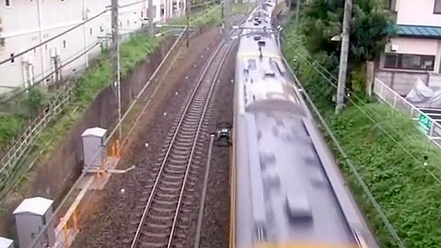 Sizzling Japanese Wife Tempts Her Husband With Steamy Sex Acts